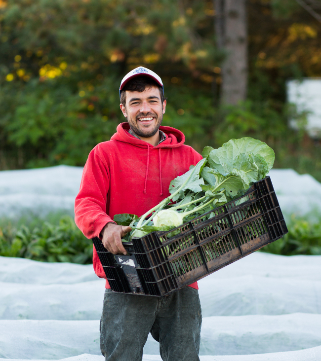 successful organic farm coaching client, Ludovic, La Ferme des Arpents Roses. Organic Vegetable and Pastured Pork Farm